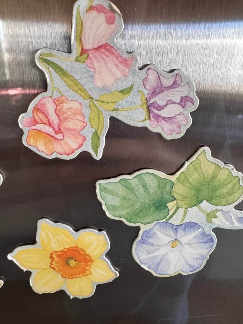 Vintage Floral Fridge Magnet Set - 8pc Watercolor Botanical & Butterfly - Picture 3 of 7